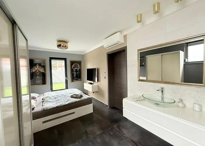 Luxory Minimal House 2. 别墅 *